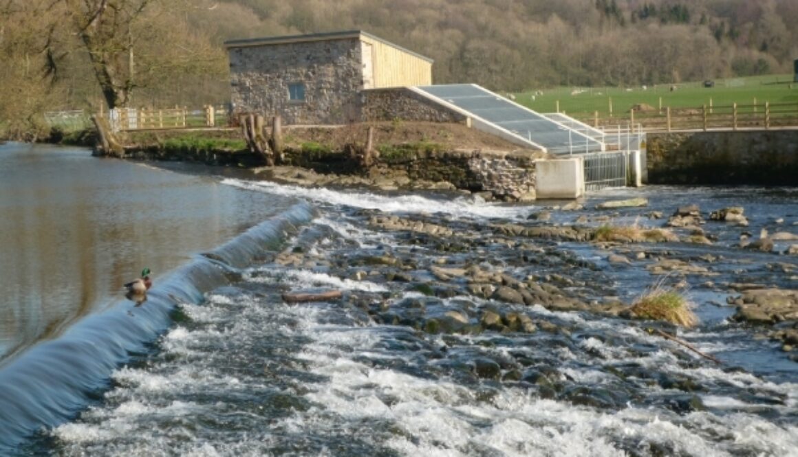 view-from-Whalley-footpath