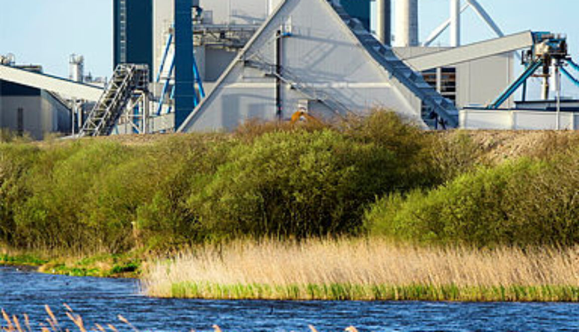 CHP from Siddick Pond Nature Reserve