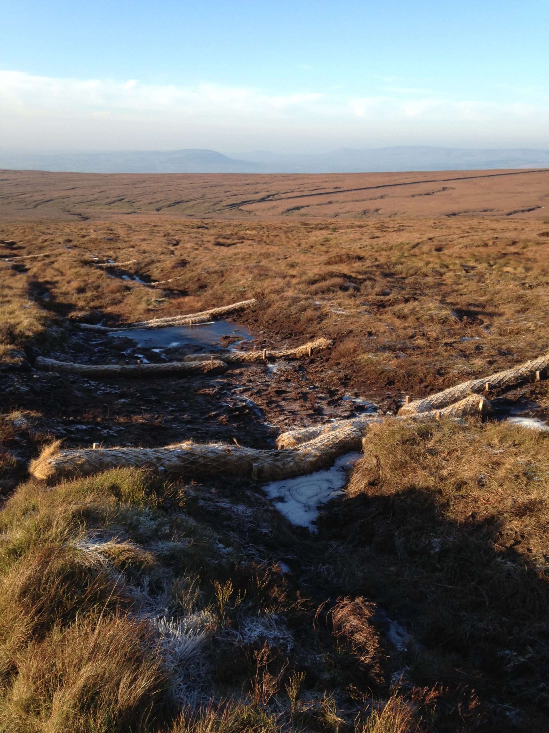 Image1 Pendle_coir logs