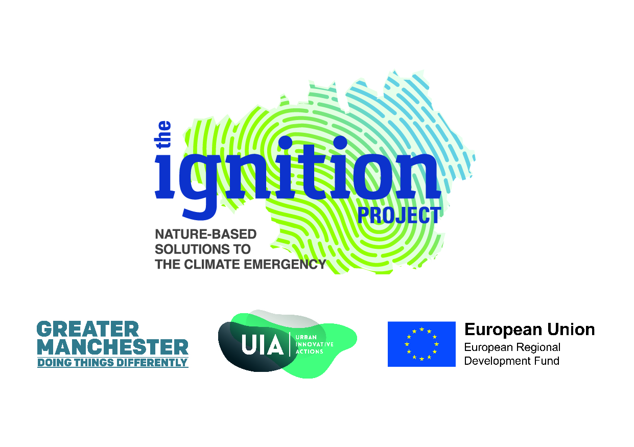 TheIgnitionProject_Logo wFunders (1)