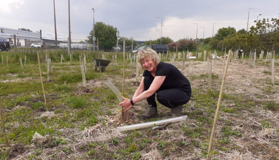 Volunteer at Leasowe Loop.