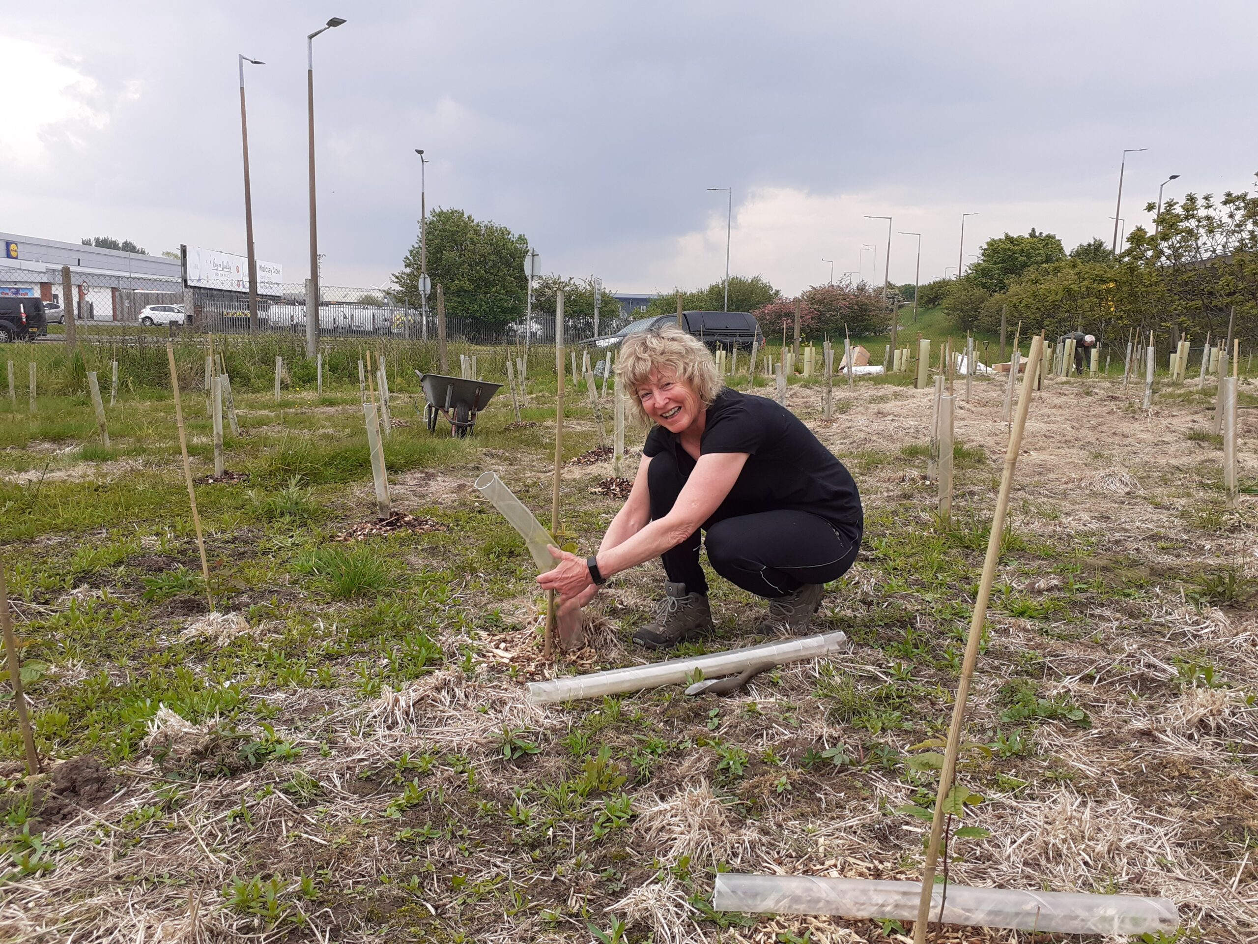 Volunteer at Leasowe Loop.